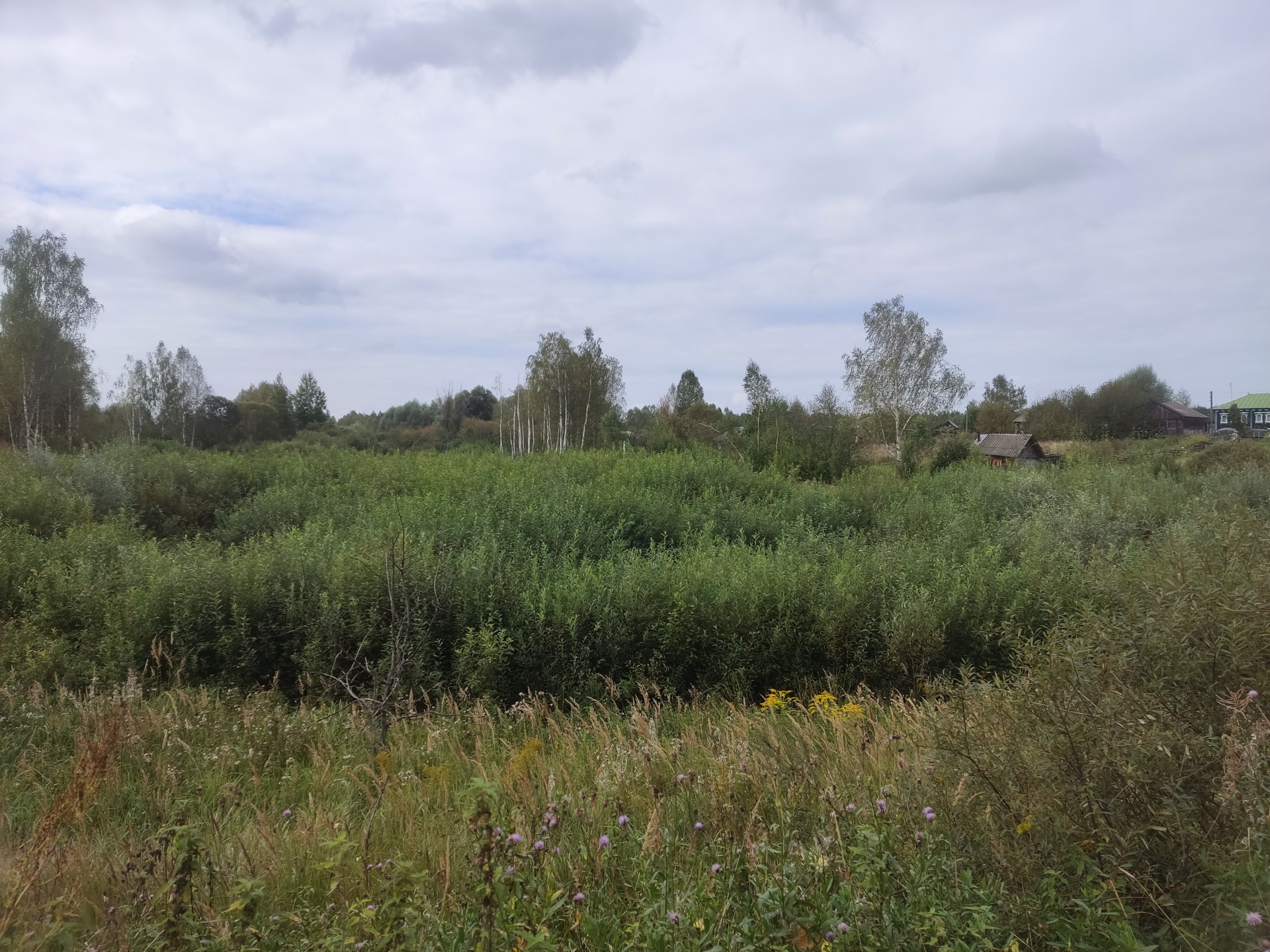 Восстановление противопожарного водоема и места отдыха по адресу: Нижегородская область, Сосновский МО, с. Николаевка, ул. Мира