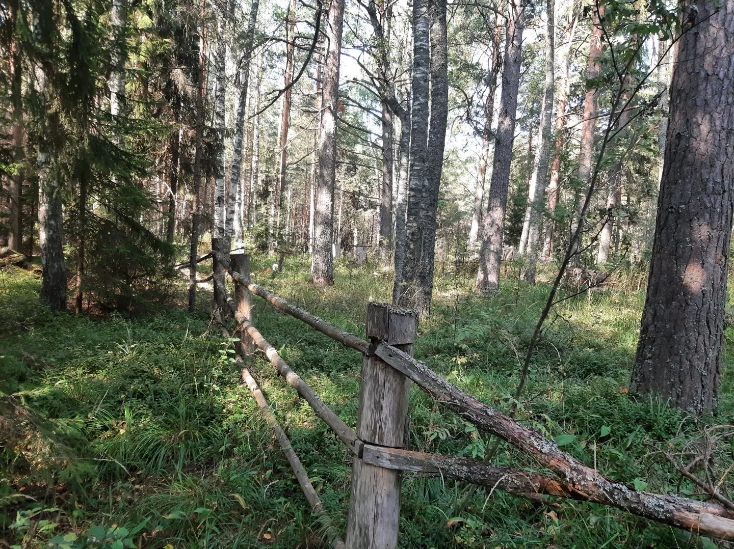 Замена ограждения территории кладбища по адресу: Нижегородская область, муниципальный округ Сокольский, в районе д.Ятово