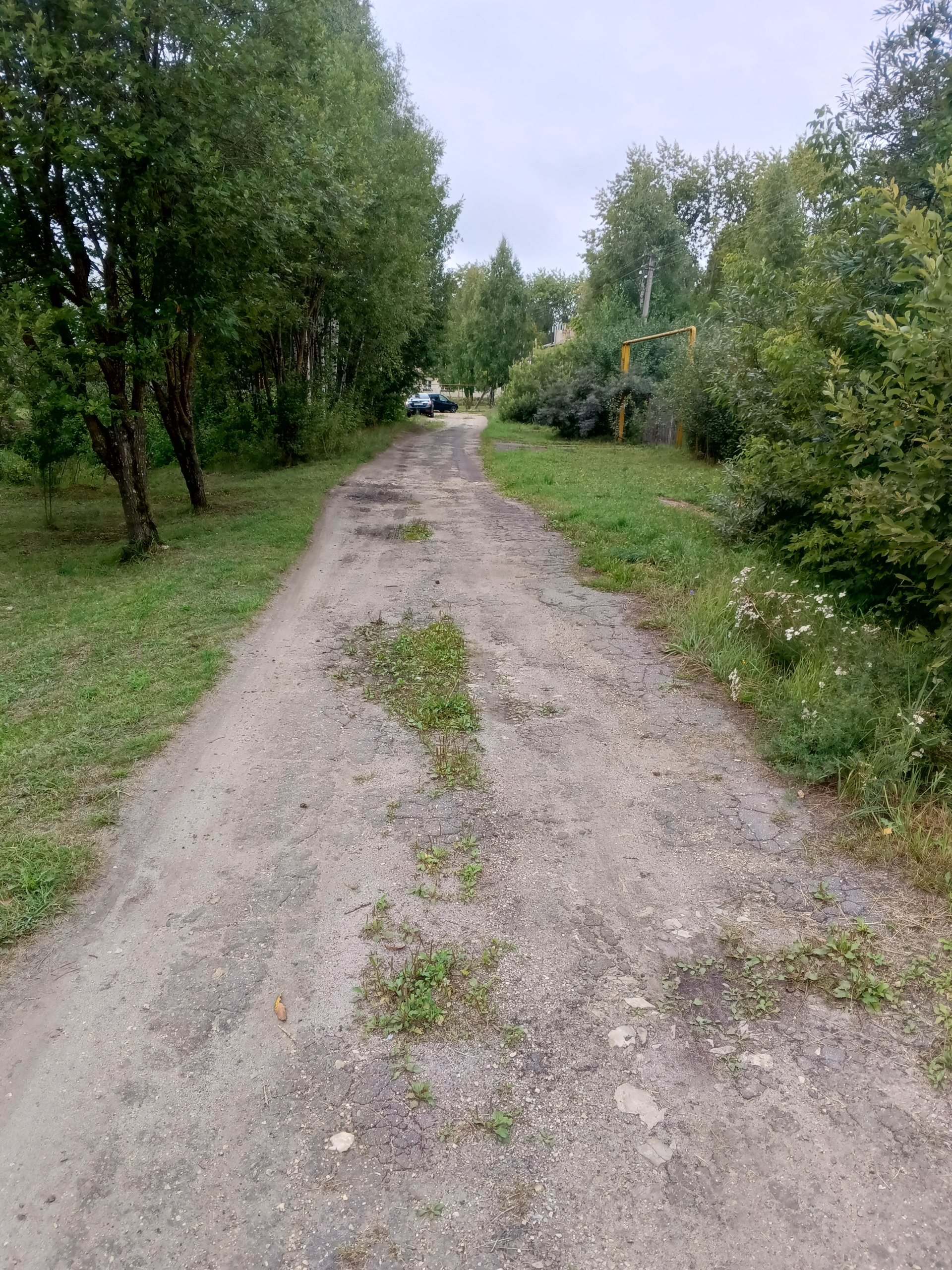 Ремонт автомобильных дорог общего пользования местного значения в с.Кержемок Шатковского муниципального округа Нижегородской области