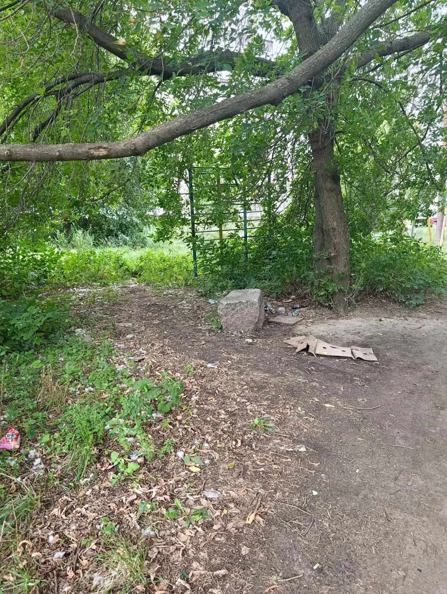 Выполнение работ по благоустройству общегородской территории в районе жилого дома № 4 по улице Пономарева в городе Заволжье Городецкого муниципального округа Нижегородской области в 2027 году