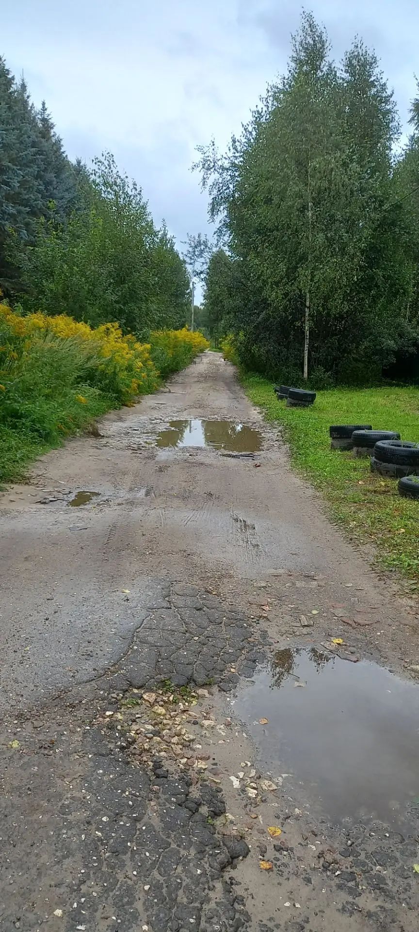 Ремонт участков дороги с. Останкино ул. Лесная
