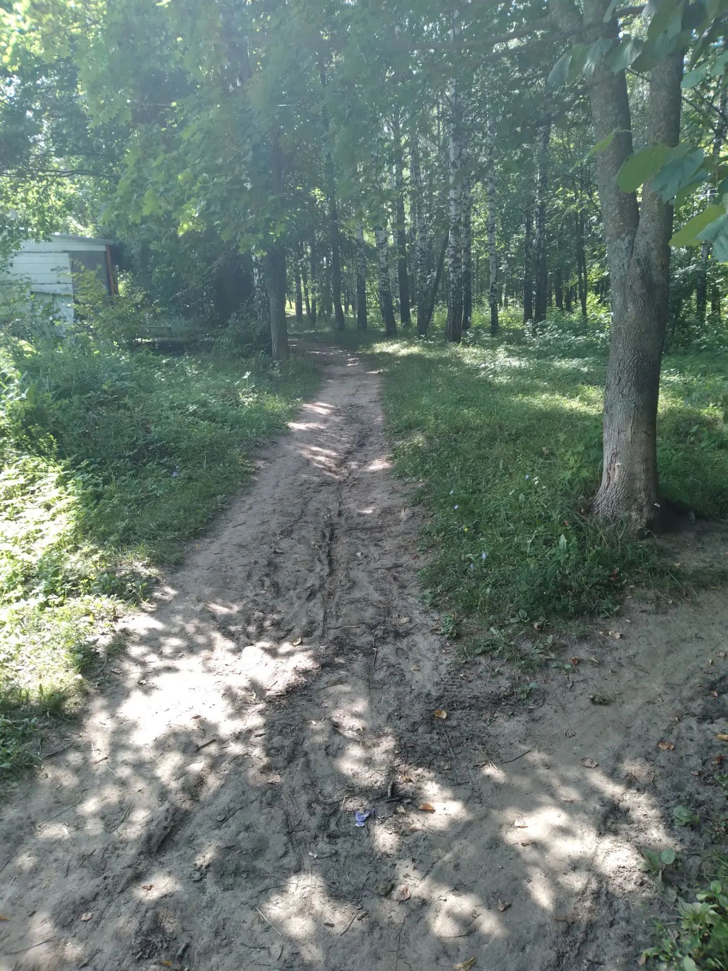 Благоустройство общественного пространства с элементами освещения и тротуарными дорожками в с.Холязино  Большемурашкинского муниципального округа Нижегородской области