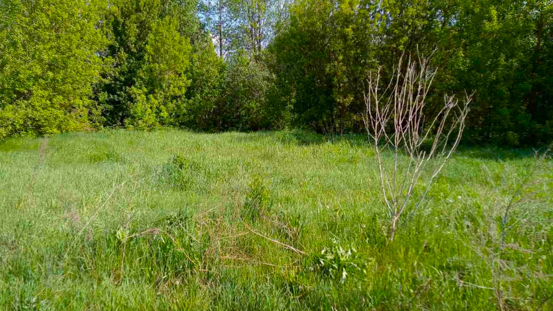 Ремонт водопровода по ул.Береговая, с.Луговое