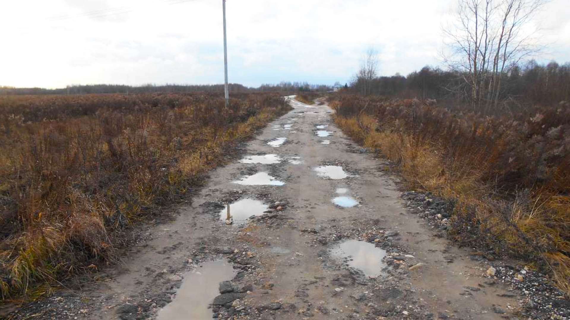 Ремонт дороги к д.Тарасово от дороги г.Бор - с.Развилье