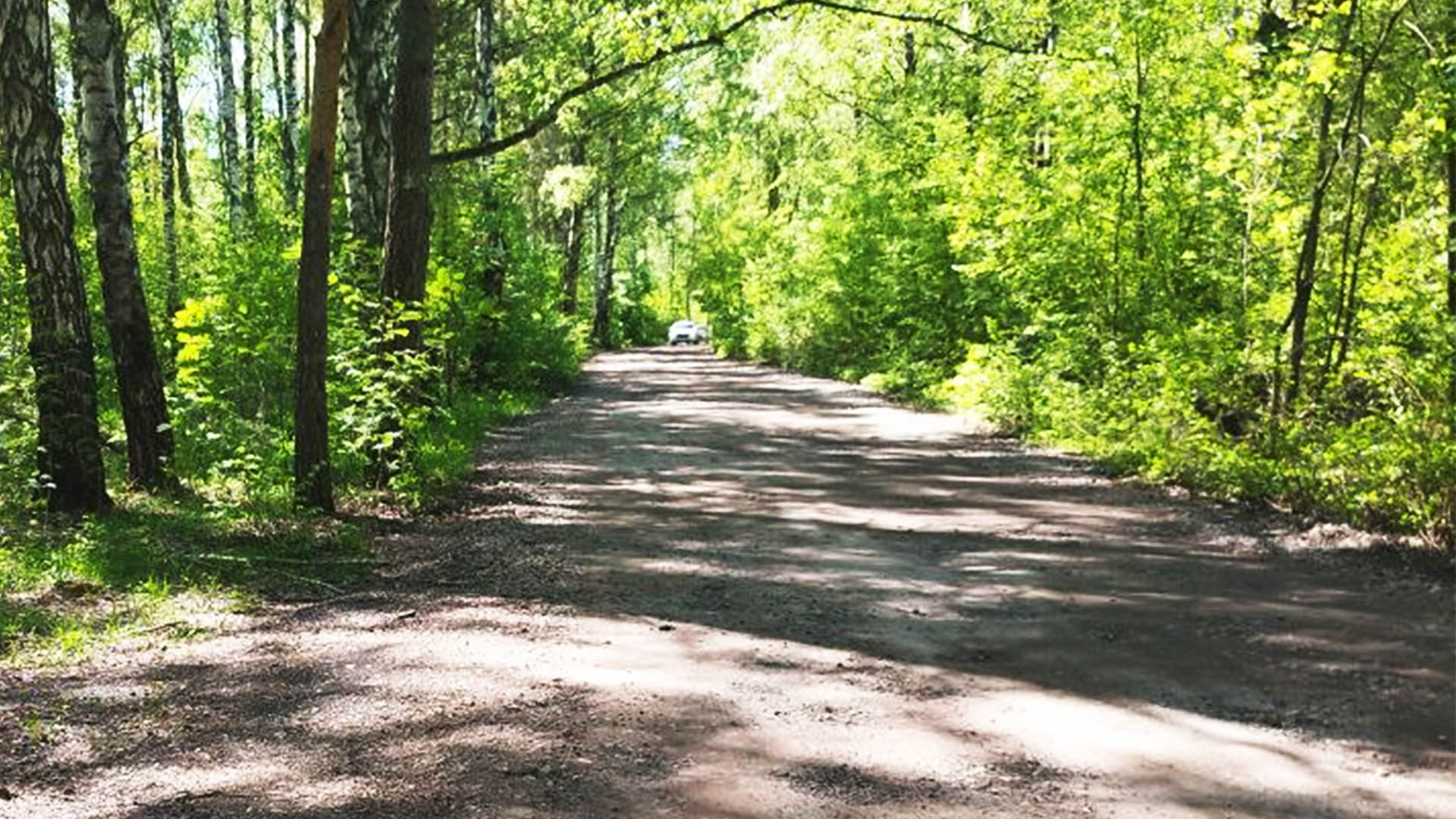 Ремонт дороги от СНТ "50 лет Октября" до СНТ "Ясная поляна" (2 этап), г.Н.Новгород