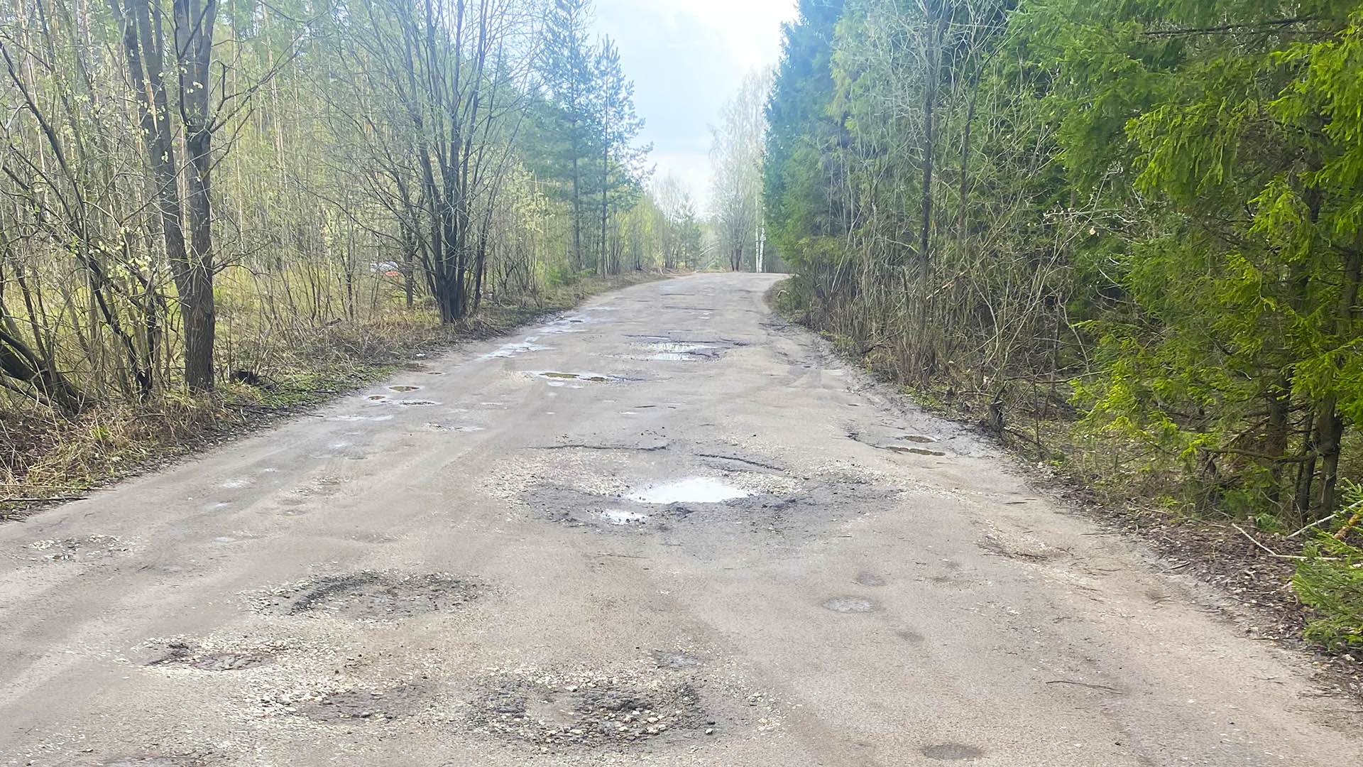 Ремонт участка дороги от с.Оранки до д.Ягодное, км.2+000-2+700