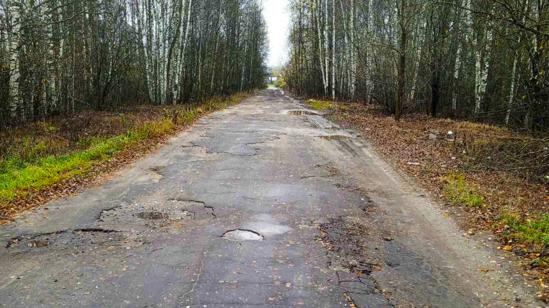 Ремонт дорог со стороны кладбища от трассы Р-177 "Поветлужье" до ул.Придорожная д.1, от ул.Новая, д.129 до ул.Красный Краек д.28, д.Шалдеж