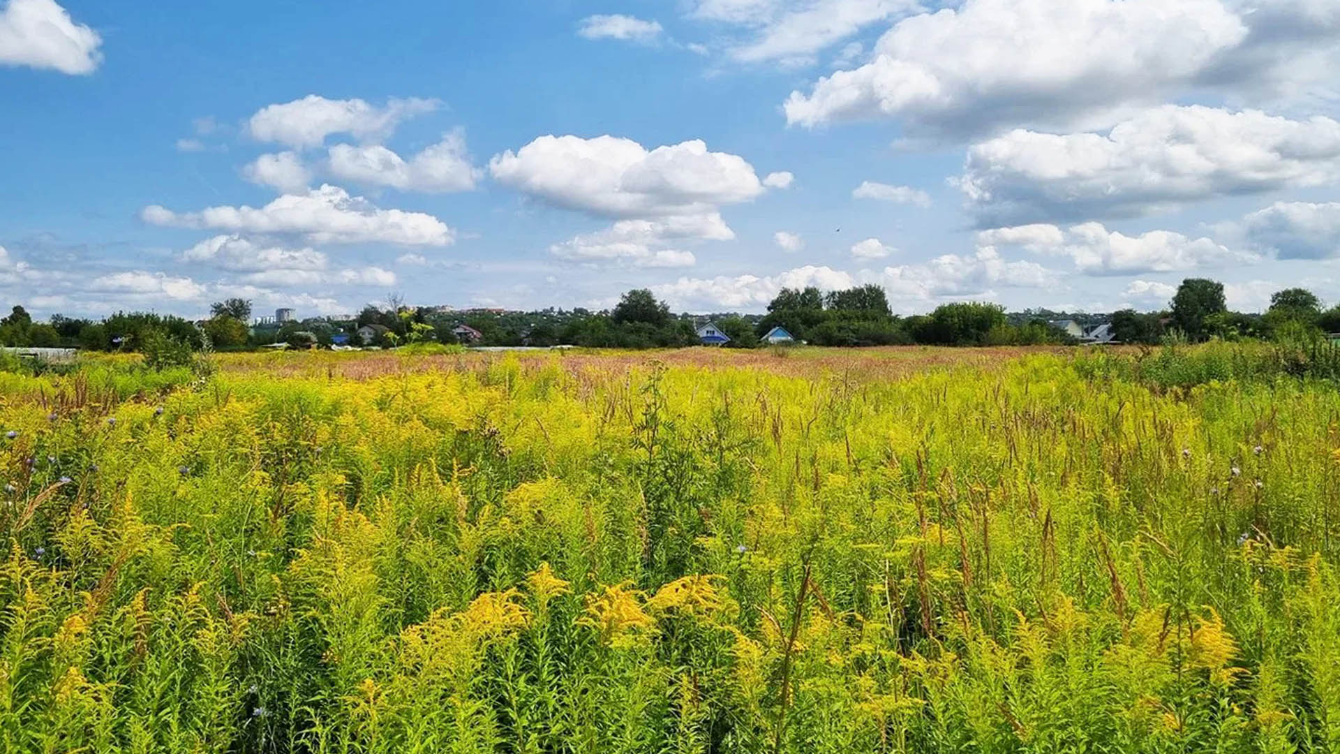 Устройство детской игровой и спортивной
площадки на ул.Новая, д.Зелецино