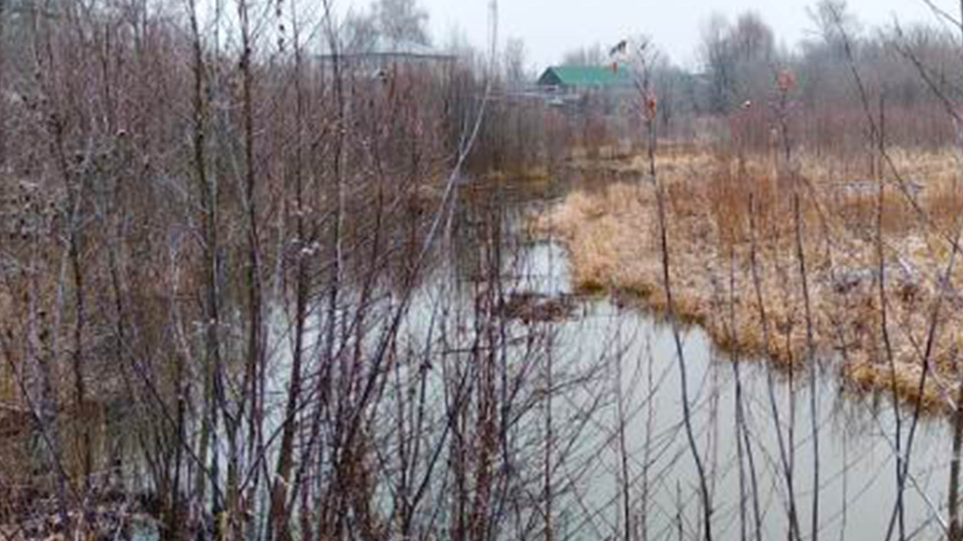 Благоустройство общественной территории "Пруд Заводской", р.п.им.Степана Разина