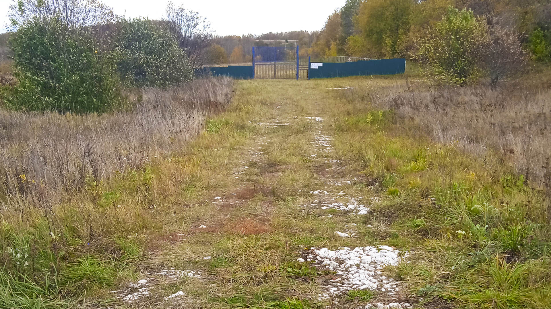 Ремонт дороги подъезд к кладбищу, д.Ново