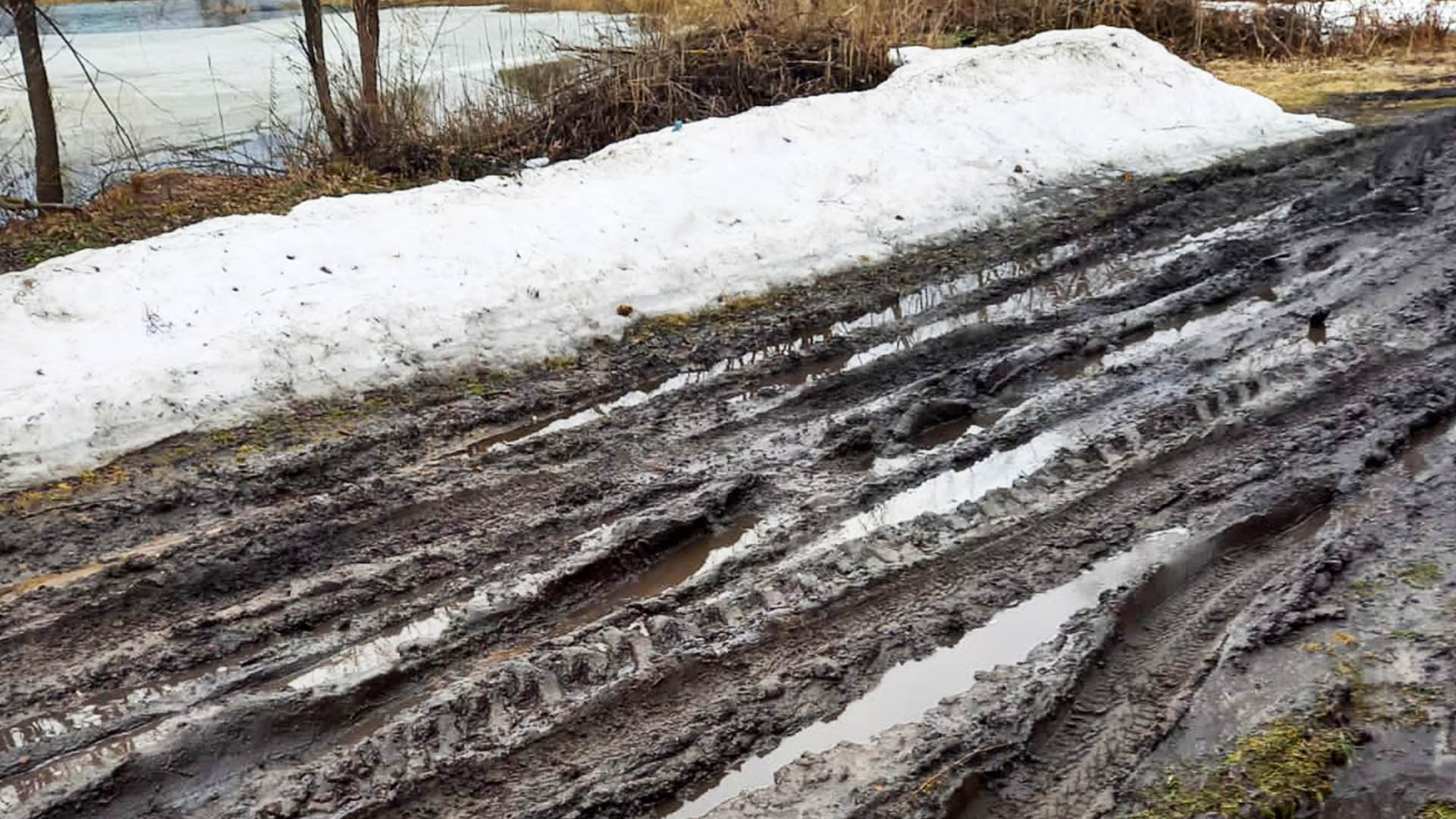 Обустройство подъезда к противопожарным водоисточникам и пирса, д.Жестелево