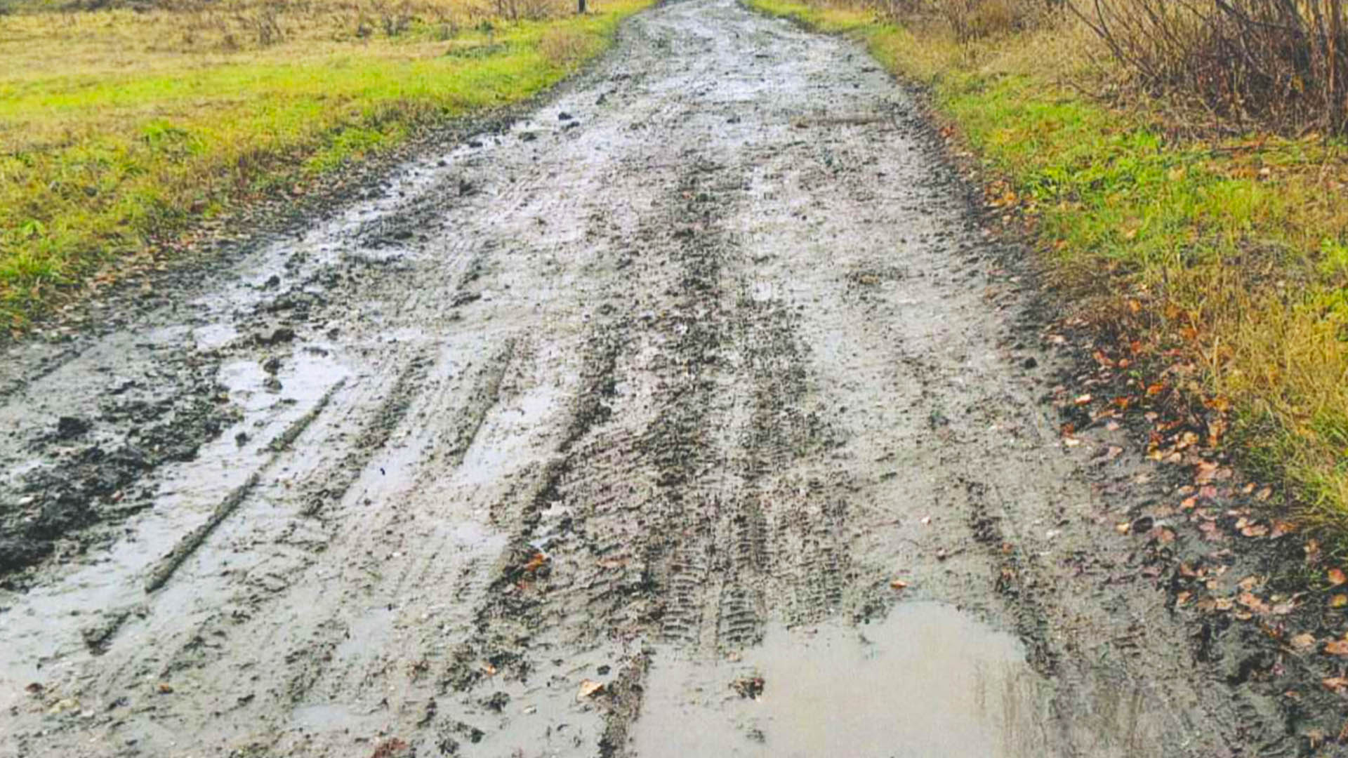 Ремонт участка дороги по ул.Кирова, с.Ожгибовка