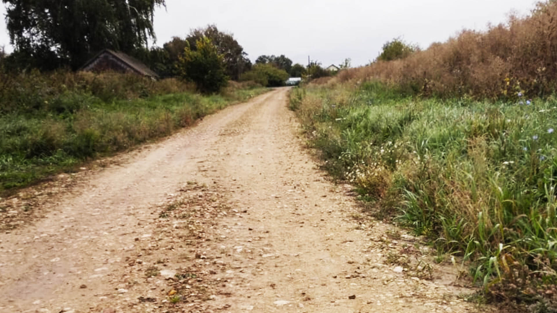 Ремонт дороги по
ул.Гагарина, с.Никитино