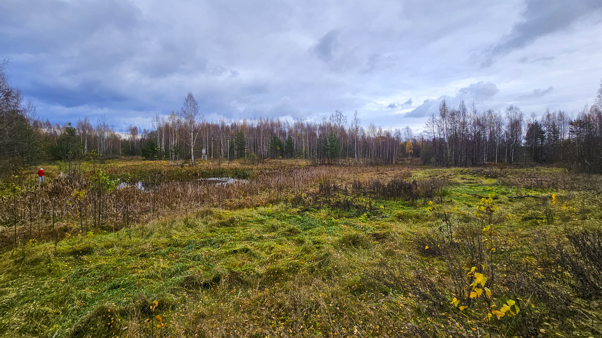 Обустройство места отдыха на берегу пруда, с.Карпуниха