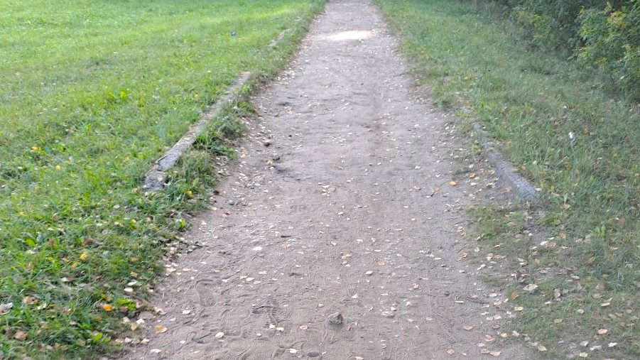 Обустройство тротуаров, р.п.Ардатов