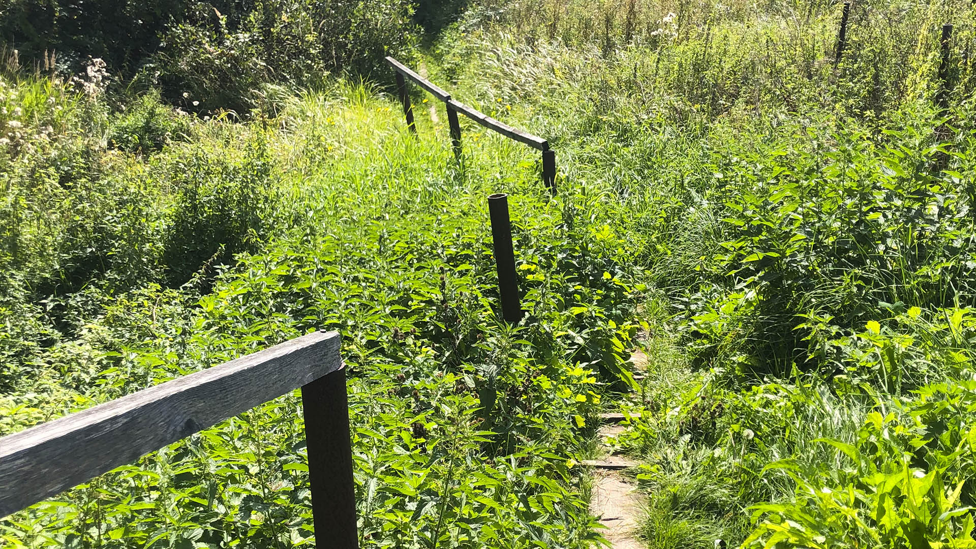 Благоустройство территории родника, с.Рубское