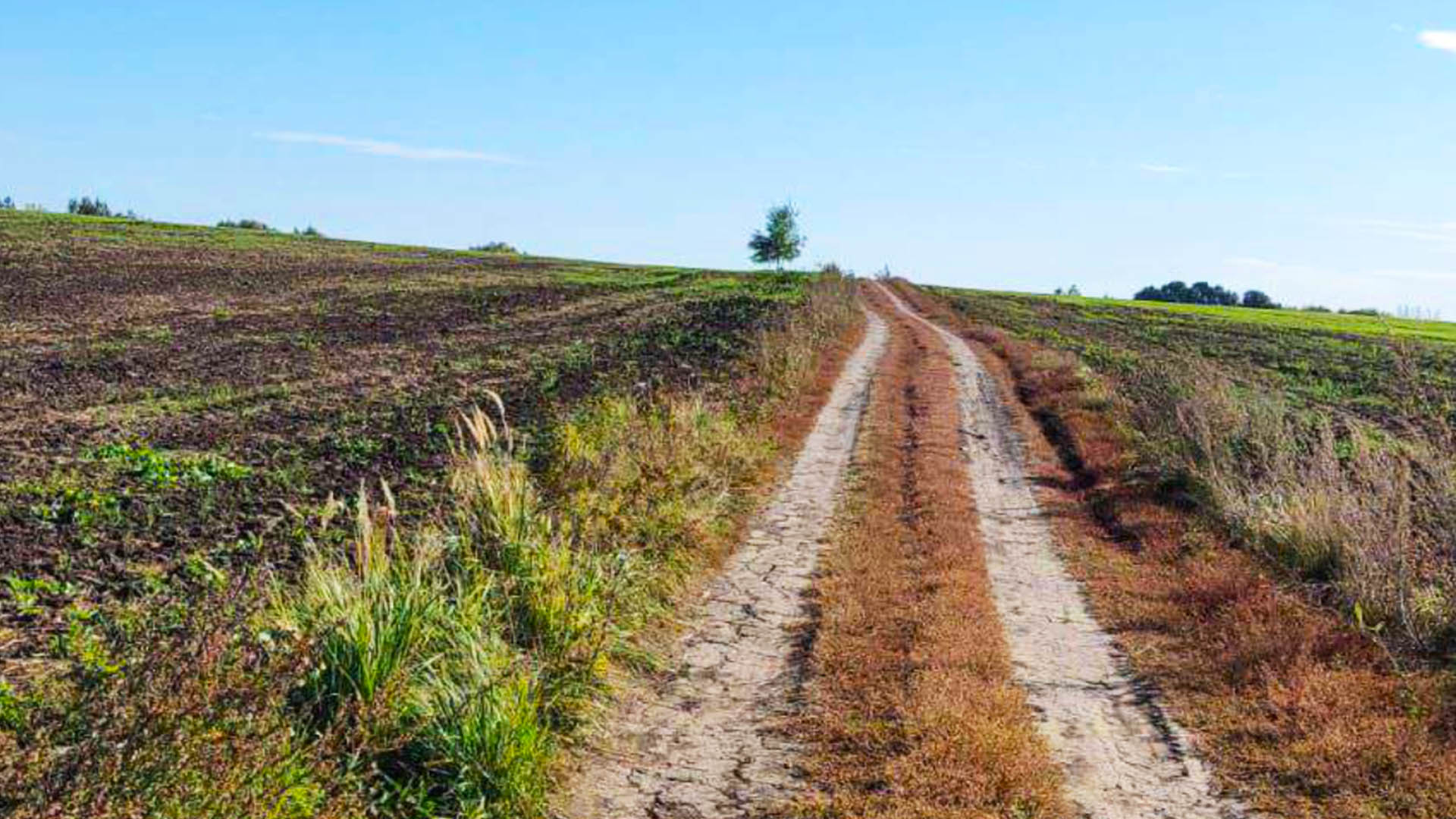 Ремонт дороги подъезд к кладбищу, с.Столбищи
