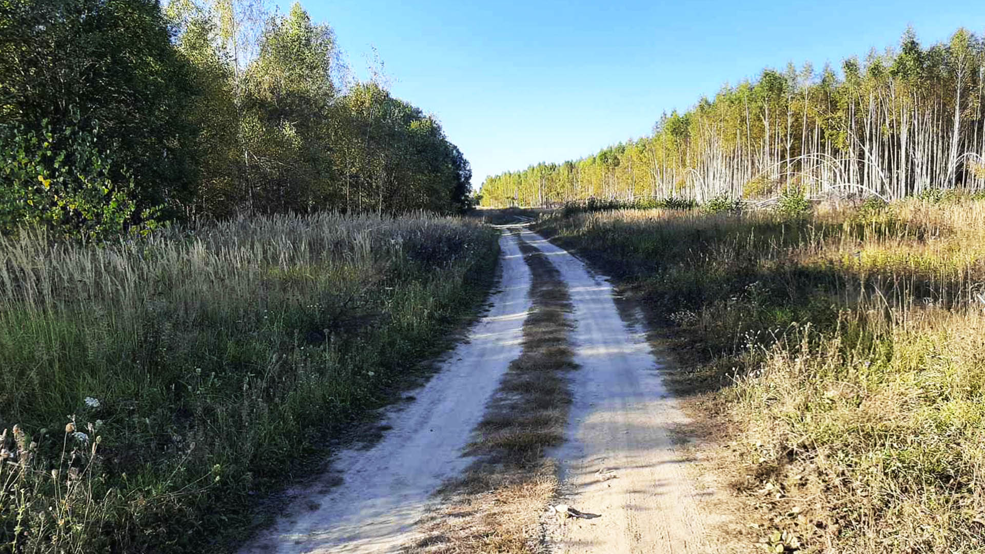 Ремонт участка дороги до д.Шарапово