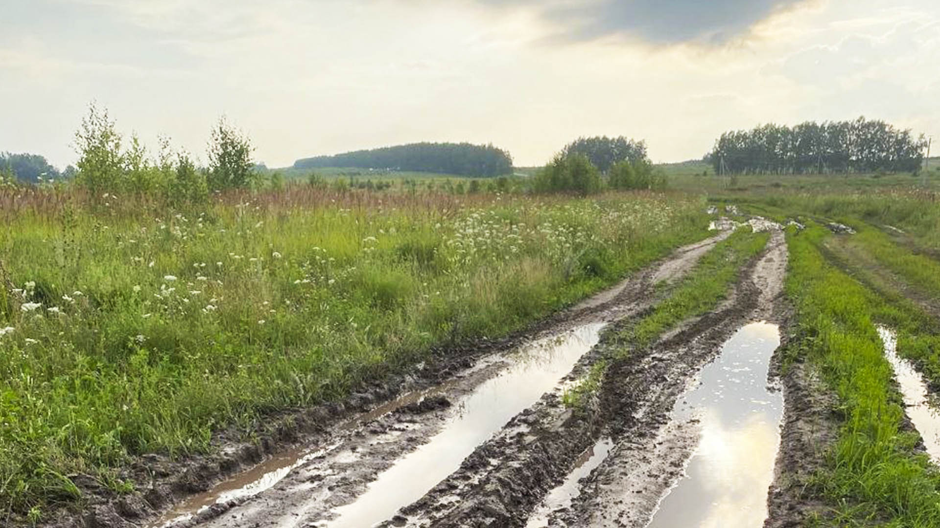 Ремонт подъездной дороги до д.Шерстино